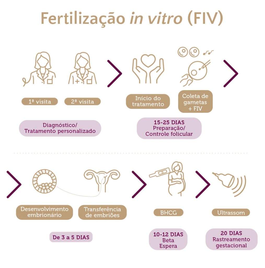 Fertilização In Vitro Fiv Clínica Elo 