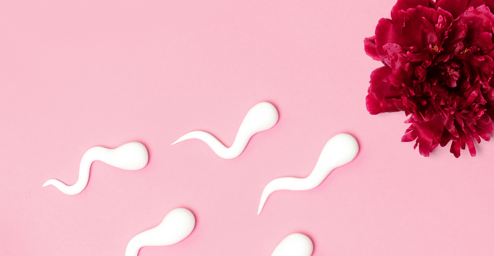 Inseminação artificial (IA): saiba mais sobre essa técnica de reprodução assistida